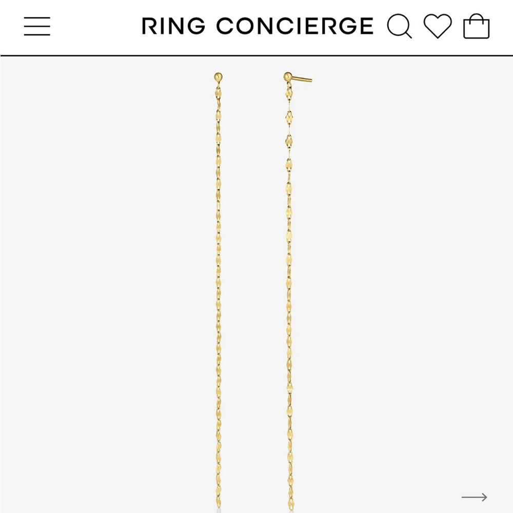 Ring Concierge Chain Dusters